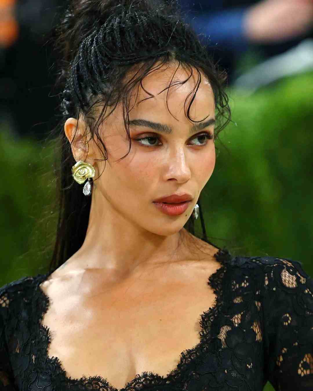 Zoe Kravitz - Age, Bio, Career, Family, Relationships, Boyfriends
